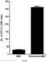 Fig. 46 - COMPOSITION FOR PROMOTING PRODUCTION OF STEM CELL-DERIVED EXOSOMES AND INCREASING STEMNESS