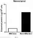 Fig. 49 - COMPOSITION FOR PROMOTING PRODUCTION OF STEM CELL-DERIVED EXOSOMES AND INCREASING STEMNESS
