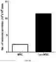Fig. 55 - COMPOSITION FOR PROMOTING PRODUCTION OF STEM CELL-DERIVED EXOSOMES AND INCREASING STEMNESS