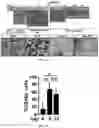 Fig. 03 - Compositions and methods for making sensory neurons