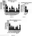 Fig. 07 - Compositions and methods for making sensory neurons