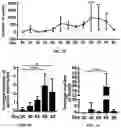 Fig. 08 - Compositions and methods for making sensory neurons