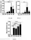 Fig. 09 - Compositions and methods for making sensory neurons