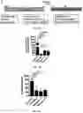 Fig. 13 - Compositions and methods for making sensory neurons