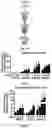Fig. 16 - Compositions and methods for making sensory neurons