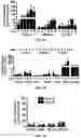 Fig. 17 - Compositions and methods for making sensory neurons