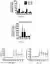 Fig. 18 - Compositions and methods for making sensory neurons