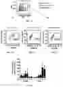 Fig. 20 - Compositions and methods for making sensory neurons