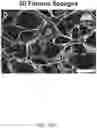 Fig. 19 - COMPOSITIONS, APPARATUSES AND METHODS FOR MAKING AND USING BIOSCAFFOLDS