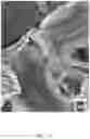 Fig. 21 - COMPOSITIONS, APPARATUSES AND METHODS FOR MAKING AND USING BIOSCAFFOLDS