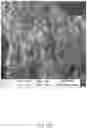 Fig. 25 - COMPOSITIONS, APPARATUSES AND METHODS FOR MAKING AND USING BIOSCAFFOLDS