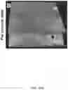 Fig. 28 - COMPOSITIONS, APPARATUSES AND METHODS FOR MAKING AND USING BIOSCAFFOLDS