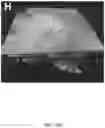 Fig. 34 - COMPOSITIONS, APPARATUSES AND METHODS FOR MAKING AND USING BIOSCAFFOLDS