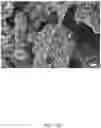 Fig. 36 - COMPOSITIONS, APPARATUSES AND METHODS FOR MAKING AND USING BIOSCAFFOLDS
