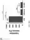 Fig. 40 - COMPOSITIONS, APPARATUSES AND METHODS FOR MAKING AND USING BIOSCAFFOLDS