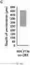 Fig. 44 - COMPOSITIONS, APPARATUSES AND METHODS FOR MAKING AND USING BIOSCAFFOLDS