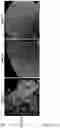 Fig. 49 - COMPOSITIONS, APPARATUSES AND METHODS FOR MAKING AND USING BIOSCAFFOLDS