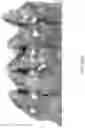 Fig. 58 - COMPOSITIONS, APPARATUSES AND METHODS FOR MAKING AND USING BIOSCAFFOLDS