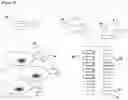 Fig. 12 - METHODS, KITS AND APPARATUS FOR EXPANDING A POPULATION OF CELLS