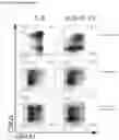Fig. 31 - METHODS, KITS AND APPARATUS FOR EXPANDING A POPULATION OF CELLS