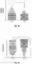 Fig. 11 - METHODS OF IMPROVING THE LONGEVITY OF IMMUNE CELLS