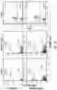 Fig. 13 - METHODS OF IMPROVING THE LONGEVITY OF IMMUNE CELLS