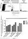 Fig. 04 - METHODS FOR PREPARING EXTRACELLULAR VESICLES (EV) DEPLETEMEDIA