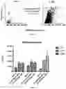Fig. 05 - METHODS FOR PREPARING EXTRACELLULAR VESICLES (EV) DEPLETEMEDIA