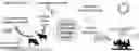 Fig. 01 - METHODS AND COMPOSITIONS FOR CELL CULTURE ON HETEROGENEOUS SCAFFOLDS