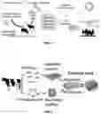Fig. 02 - METHODS AND COMPOSITIONS FOR CELL CULTURE ON HETEROGENEOUS SCAFFOLDS