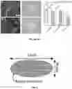 Fig. 03 - METHODS AND COMPOSITIONS FOR CELL CULTURE ON HETEROGENEOUS SCAFFOLDS