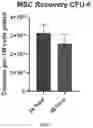 Fig. 02 - METHODS FOR STORAGE OF STEM CELLS