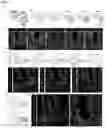 Fig. 03 - PHYSIOLOGIC GROWTH OF CULTURED INTESTINAL TISSUE