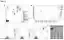 Fig. 06 - PHYSIOLOGIC GROWTH OF CULTURED INTESTINAL TISSUE
