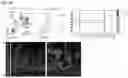 Fig. 10 - PHYSIOLOGIC GROWTH OF CULTURED INTESTINAL TISSUE