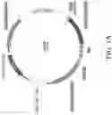 Fig. 02 - Genetically Engineered Cells and Uses Thereof
