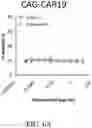 Fig. 13 - Genetically Engineered Cells and Uses Thereof