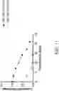 Fig. 27 - Genetically Engineered Cells and Uses Thereof