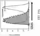 Fig. 41 - Genetically Engineered Cells and Uses Thereof