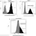 Fig. 01 - IMMUNE CELL CONTAINING TUMOR ANTIGEN RECOGNITION RECEPTOR AND APPLICATION THEREOF
