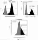 Fig. 02 - IMMUNE CELL CONTAINING TUMOR ANTIGEN RECOGNITION RECEPTOR AND APPLICATION THEREOF