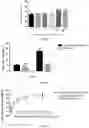 Fig. 04 - IMMUNE CELL CONTAINING TUMOR ANTIGEN RECOGNITION RECEPTOR AND APPLICATION THEREOF