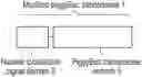 Fig. 01 - MODIFIED PIGGYBAC TRANSPOSASE POLYPEPTIDE, POLYNUCLEOTIDE ENCODING THEM, INTRODUCING CARRIER, KIT, METHOD OF INCORPORATING TARGET SEQUENCE INTO CELL GENOME, AND METHOD OF PRODUCING CELL