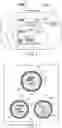 Fig. 03 - MODIFIED PIGGYBAC TRANSPOSASE POLYPEPTIDE, POLYNUCLEOTIDE ENCODING THEM, INTRODUCING CARRIER, KIT, METHOD OF INCORPORATING TARGET SEQUENCE INTO CELL GENOME, AND METHOD OF PRODUCING CELL