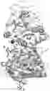Fig. 10 - ENPP1 POLYPEPTIDES AND METHODS OF USING SAME