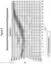 Fig. 09 - METHODS OF ACHIEVING HIGH SPECIFICITY OF GENOME EDITING