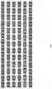 Fig. 03 - CRISPR/CAS-BASED GENOME EDITING COMPOSITION FOR RESTORING DYSTROPHIN FUNCTION