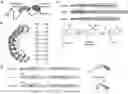 Fig. 01 - RNA SITE-DIRECTED EDITING USING ARTIFICIALLY CONSTRUCTED RNA EDITING ENZYMES AND RELATED USES