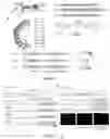 Fig. 02 - RNA SITE-DIRECTED EDITING USING ARTIFICIALLY CONSTRUCTED RNA EDITING ENZYMES AND RELATED USES