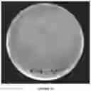 Fig. 13 - CONTINUOUS DIRECTED EVOLUTION